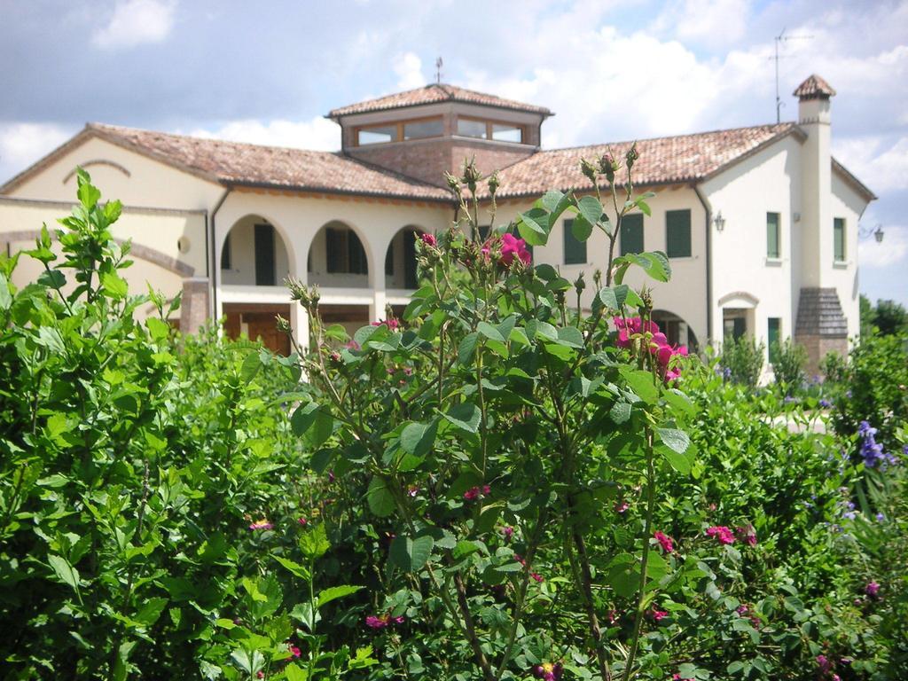 Agriturismo Due Torri Montebelluna Luaran gambar